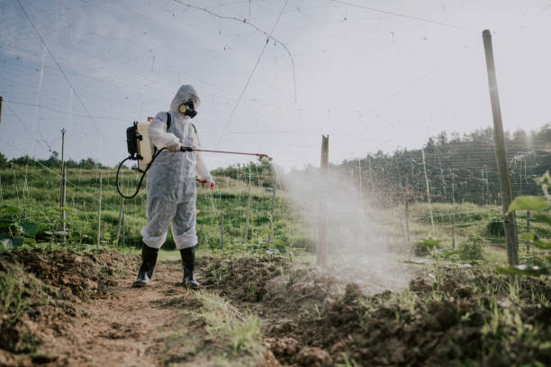 Best Ant Control Services  in Paintsville, KY