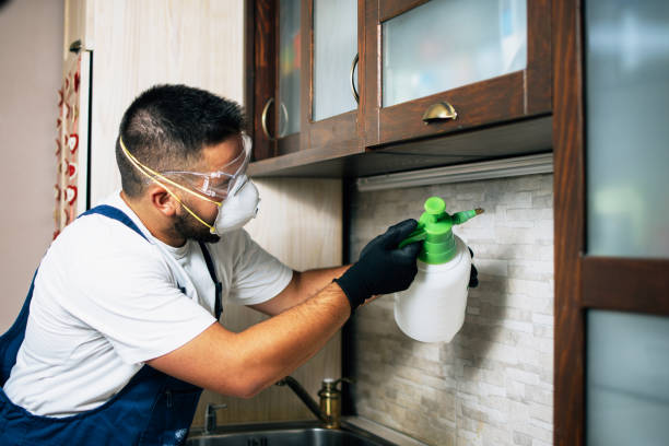 Best Residential Pest Control  in Paintsville, KY