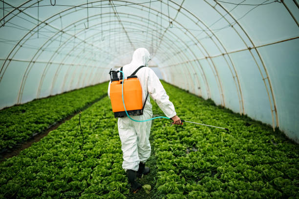 Best Affordable Pest Control Services  in Paintsville, KY