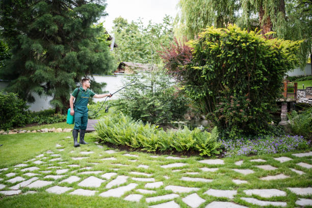 Best Commercial Pest Control Services  in Paintsville, KY