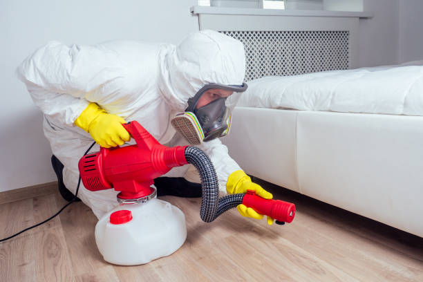 Best Best Pest Control Companies  in Paintsville, KY
