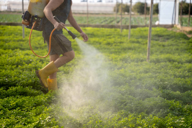 Best Pest Prevention Services  in Paintsville, KY
