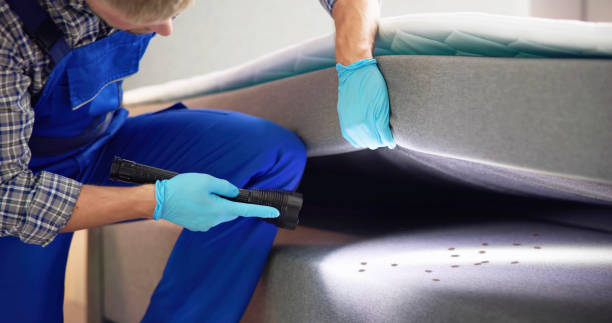 Best Pest Control Near Me in Paintsville, KY