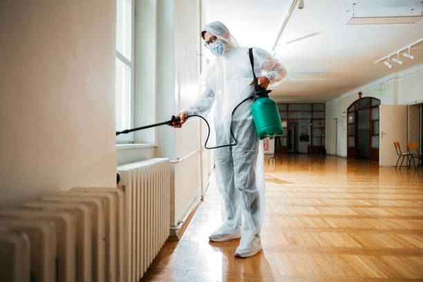 Best Pest Removal Services  in Paintsville, KY